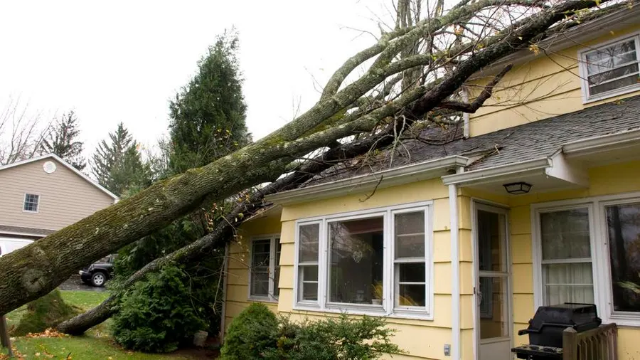 How to Make a Storm Damage Insurance Claim