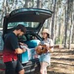 What Does Car Insurance Cover