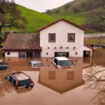 How To Protect Your Home From Climate Change